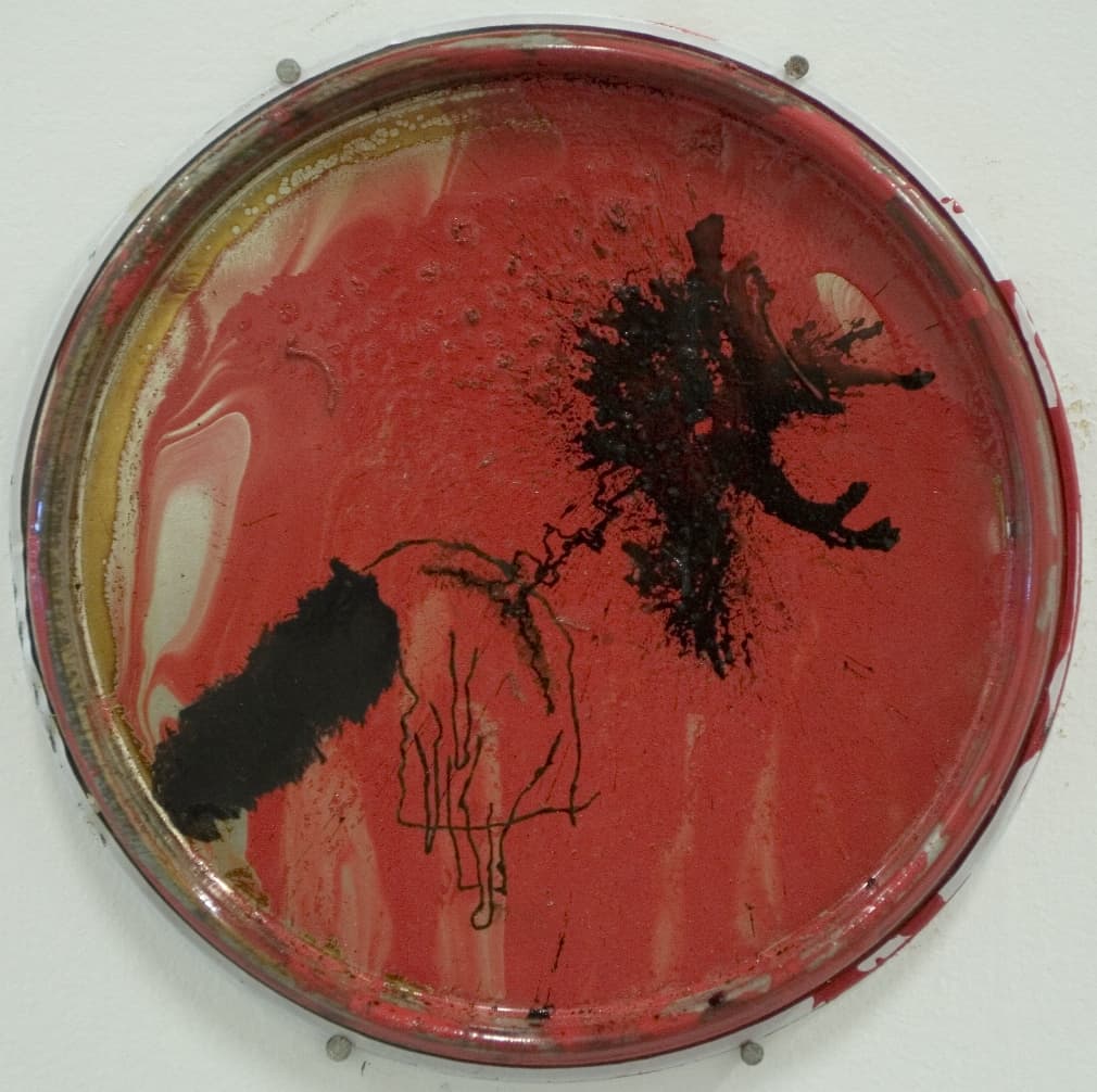 Lid Drawings