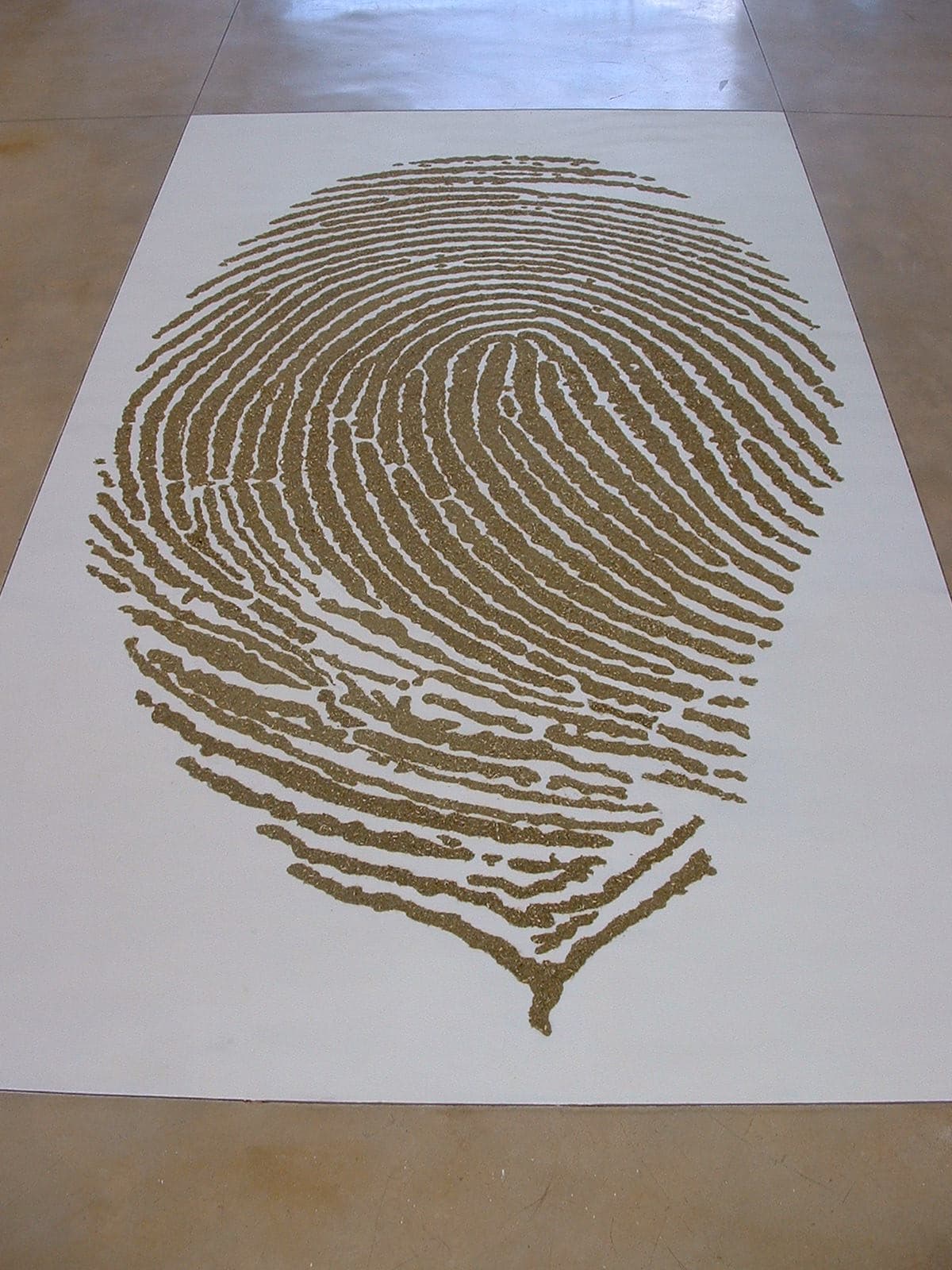 Identity